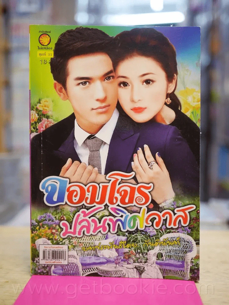 จอมโจรปล้นพิศวาส รูปที่ 1