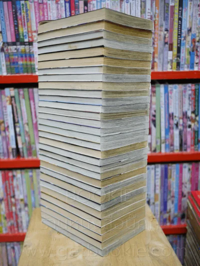 ชาแมนคิง ราชันย์แห่งภูติ 32 เล่มจบ (ขาดเล่ม 30) รูปที่ 6