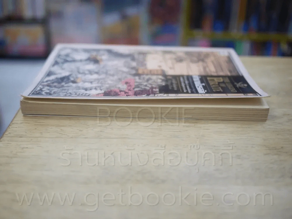 ตำนานโจรสลัด The Legend of Pirate รูปที่ 3