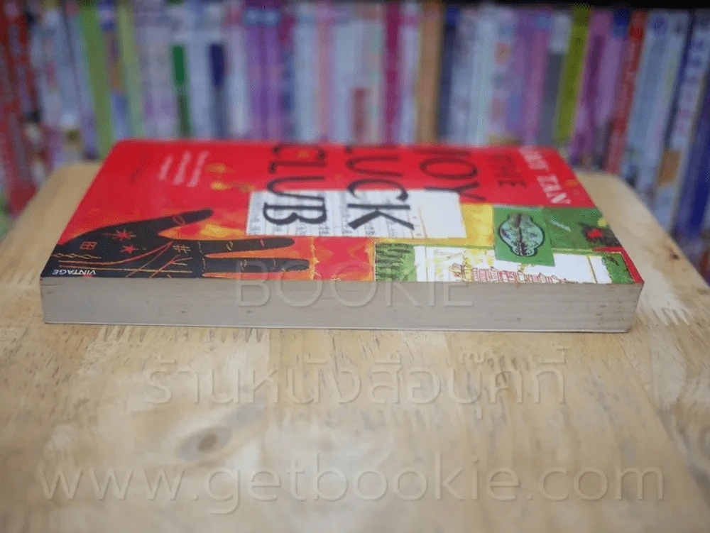 The Joy Luck Club รูปที่ 3