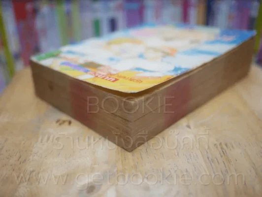 คลื่นรักไม่มีวันสลาย รูปที่ 4