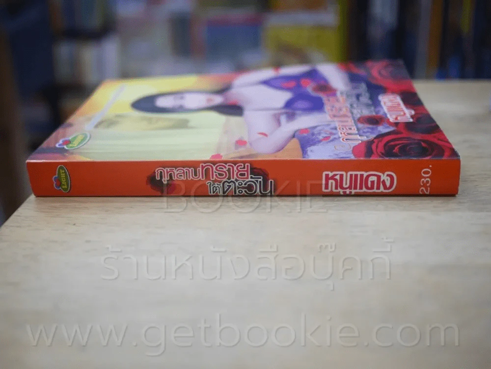 กุหลาบทรายใต้ตะวัน - หนูแดง รูปที่ 2