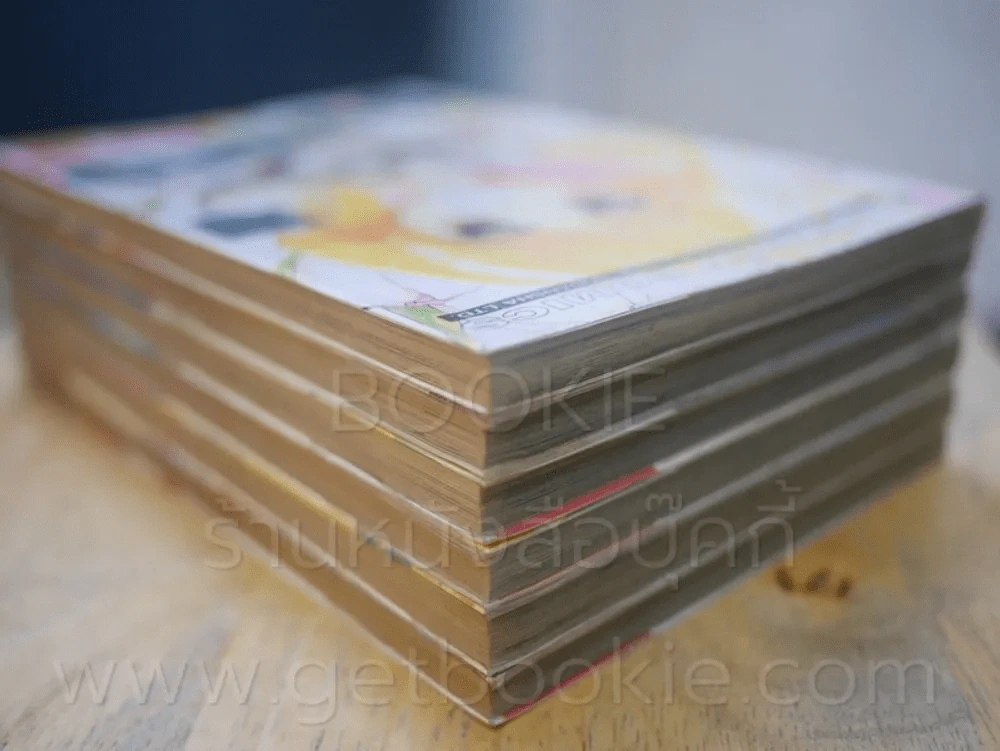 B-Wanted มายารัก มายากล 6 เล่มจบ รูปที่ 5