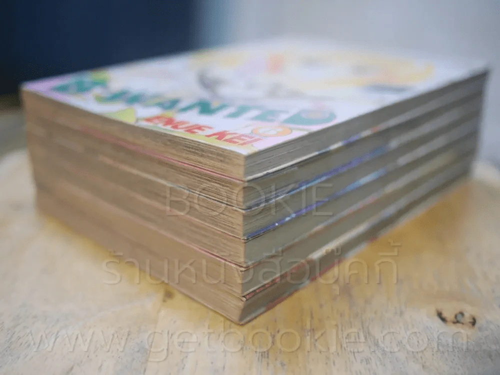 B-Wanted มายารัก มายากล 6 เล่มจบ รูปที่ 4