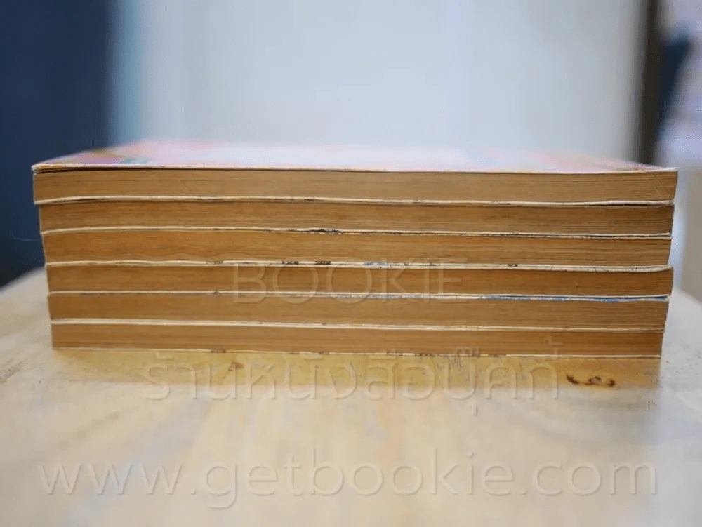 ฟันฝ่ารักอยากเป็นดาว 6 เล่มจบ (เล่ม 4 สภาพบวมน้ำ) รูปที่ 3