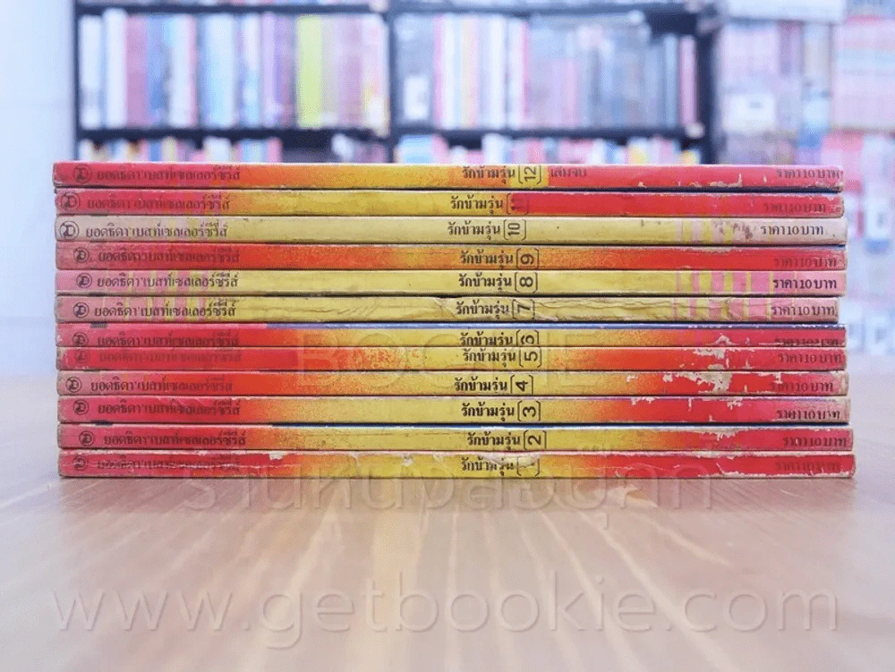 รักข้ามรุ่น 12 เล่มจบ รูปที่ 2