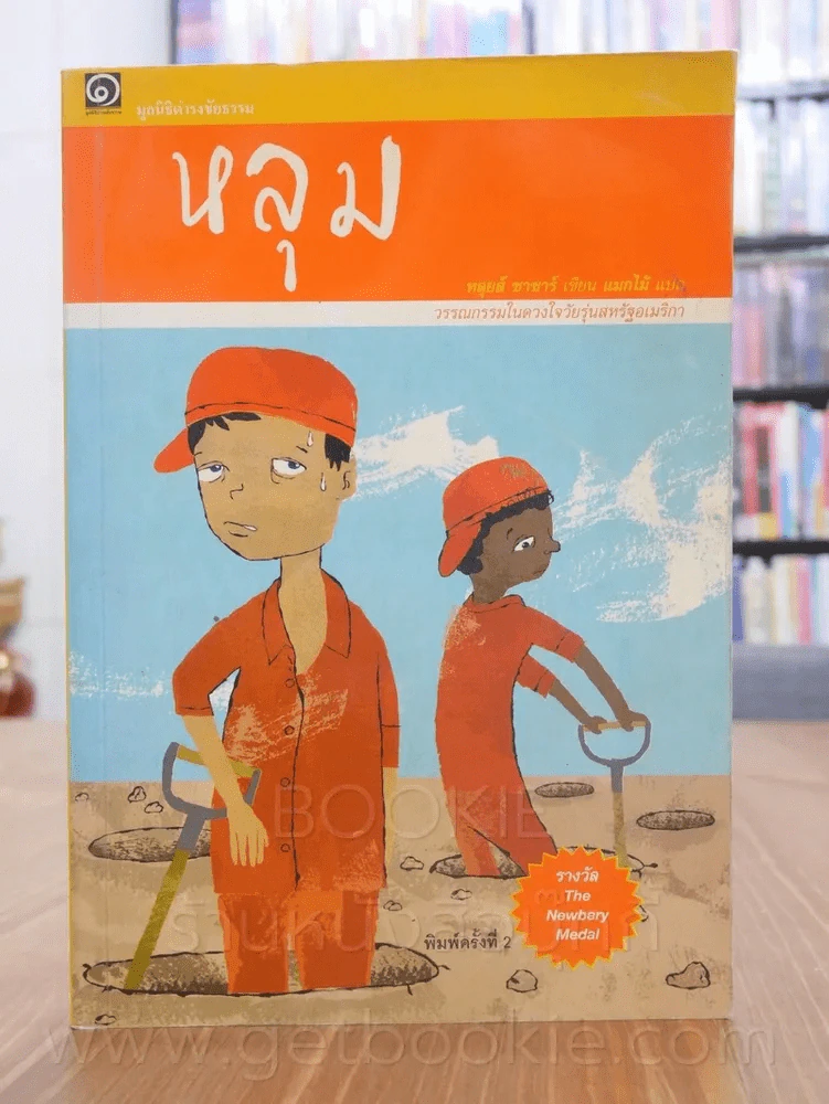 หลุม รูปที่ 1
