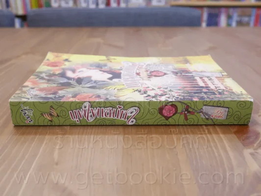 บุพเพเสน่หา - ดารินทร์ รูปที่ 2