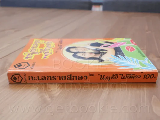 ทะเลทรายสีทอง - นภาลัย ไผ่สีทอง รูปที่ 2