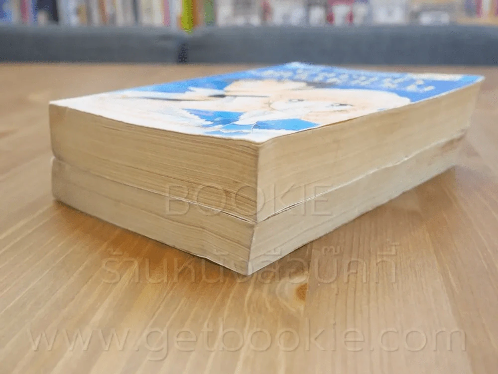 ฝากรักไว้ที่ปลายเวลา 2 เล่มจบ รูปที่ 4