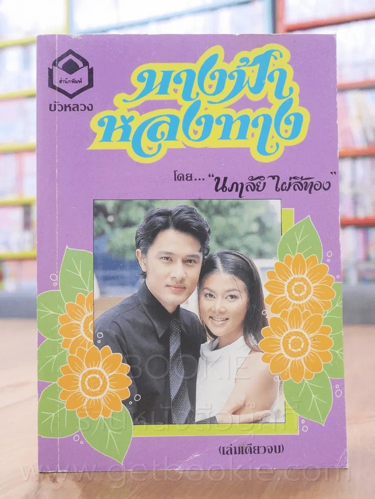 นางฟ้าหลงทาง - นภาลัย ไผ่สีทอง รูปที่ 1