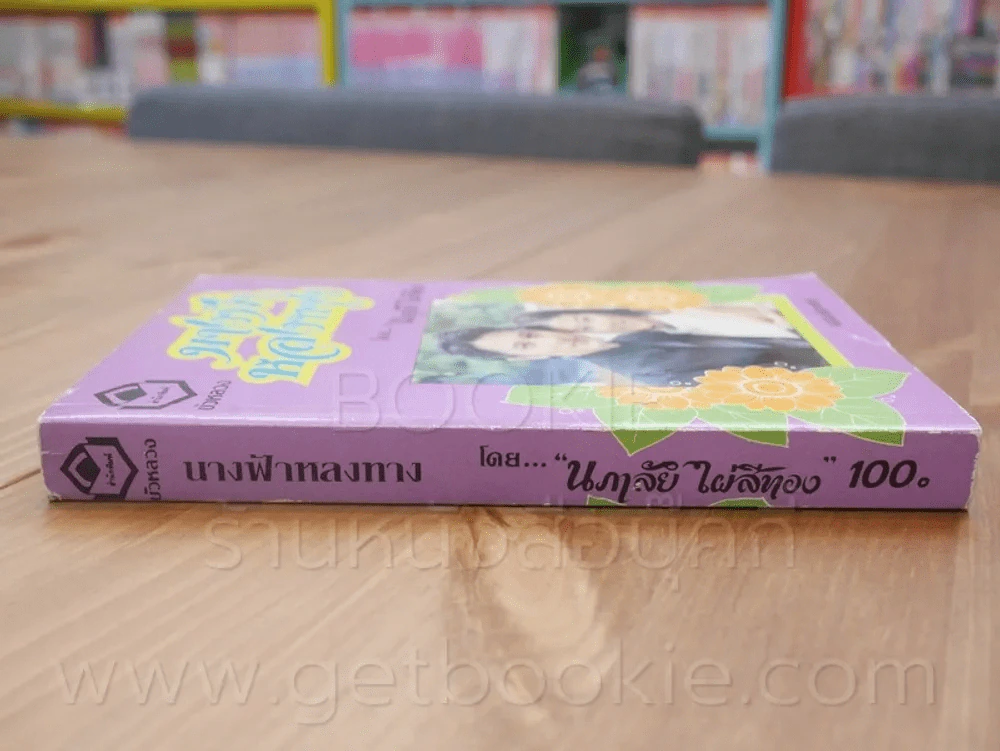 นางฟ้าหลงทาง - นภาลัย ไผ่สีทอง รูปที่ 2