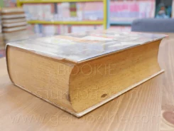 ฮิตเลอร์บุก - วิเทศกรณีย์ รูปที่ 3