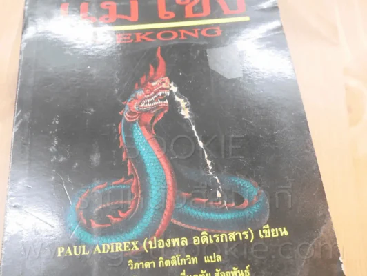 แม่โขง - ปองพล อดิเรกสาร รูปที่ 5