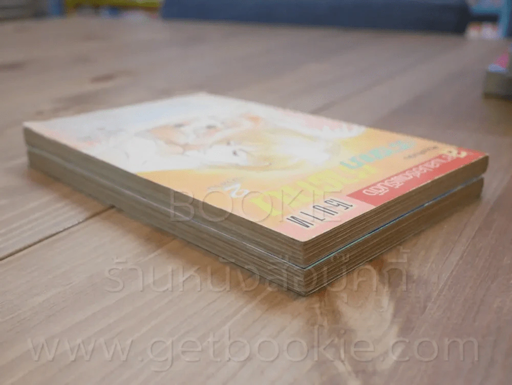 ปรารถนา ซาตาน 2 เล่มจบ รูปที่ 3