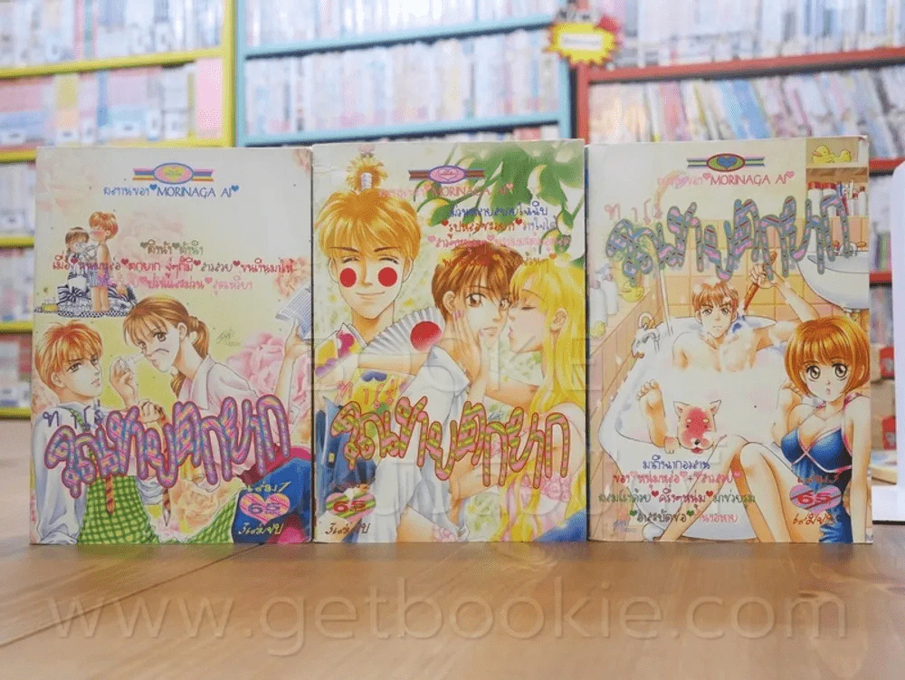 ทาโร่ คุณชายตกยาก 3 เล่มจบ รูปที่ 1