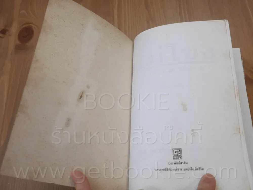 แม่โขง - ปองพล อดิเรกสาร รูปที่ 6