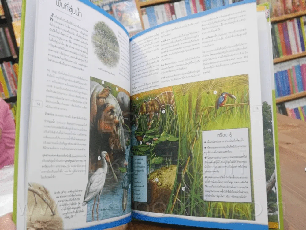 สารานุกรมประกอบภาพ ธรรมชาติ รูปที่ 3