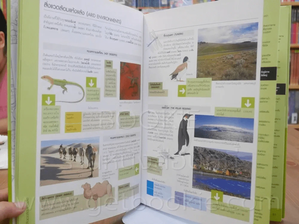 นิเวศวิทยา Essential Atlas of Ecology รูปที่ 2