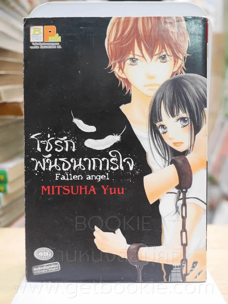โซ่รักพันธนาการใจ รูปที่ 1