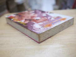สวรรค์ยังส่ายหน้า (เชียวนะ) รูปที่ 5