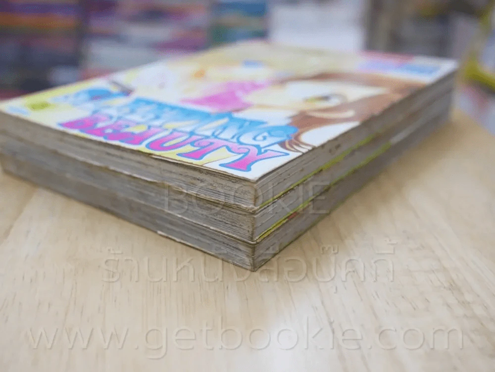 Sleeping Beauty 3 เล่มจบ รูปที่ 4