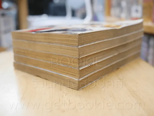 เจ้าสาวเจ้าปฐพี เล่ม 1-5 รูปที่ 4