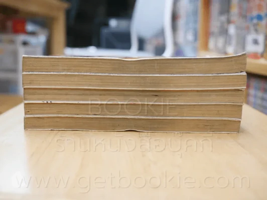 เจ้าสาวเจ้าปฐพี เล่ม 1-5 รูปที่ 3