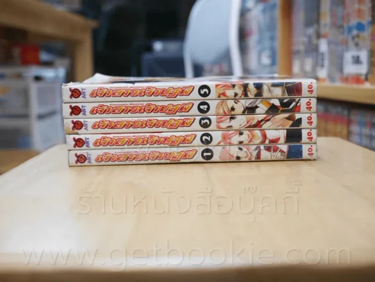 เจ้าสาวเจ้าปฐพี เล่ม 1-5 รูปที่ 2