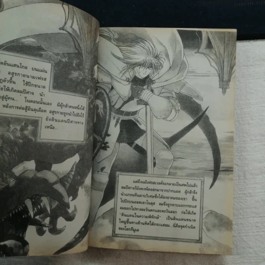 เอลน่า ซาก้า Elnasaga 13 เล่มจบ รูปที่ 23