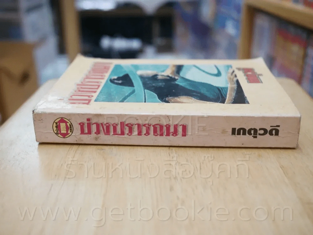 บ่วงปรารถนา - เกตุวดี รูปที่ 2