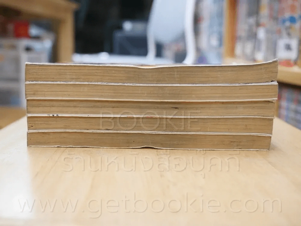 เจ้าสาวเจ้าปฐพี เล่ม 1-5 รูปที่ 3