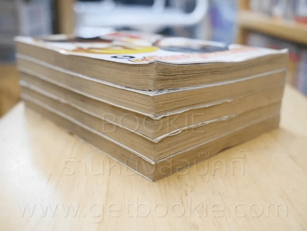เจ้าสาวเจ้าปฐพี เล่ม 1-5 รูปที่ 5
