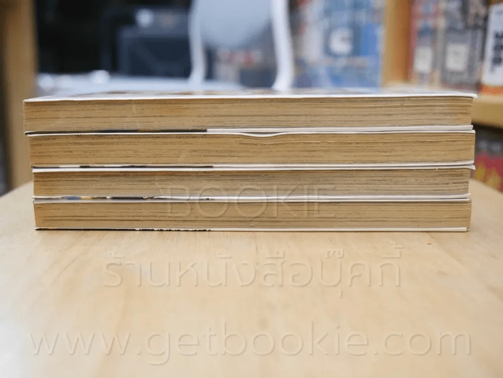 Sad Love Story ลิขิตฟ้ากั้นรัก 5 เล่มจบ (ขาดเล่ม 3) รูปที่ 3