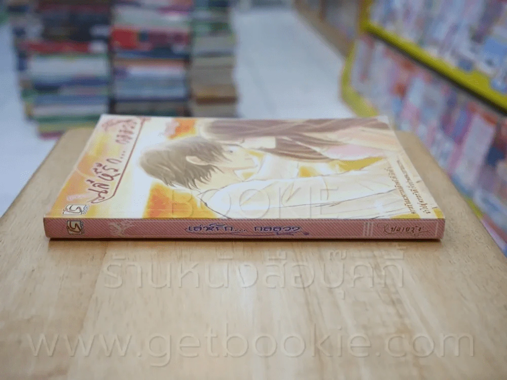 เล่ห์รักกลลวง - ปลายรุ้ง รูปที่ 2