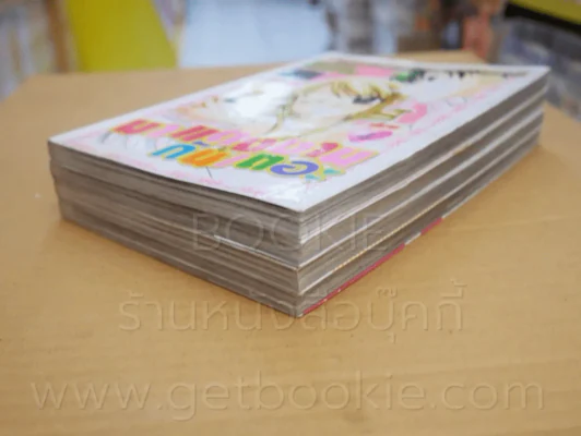 มาแต่งงานกันเถอะ 4 เล่มจบ รูปที่ 4
