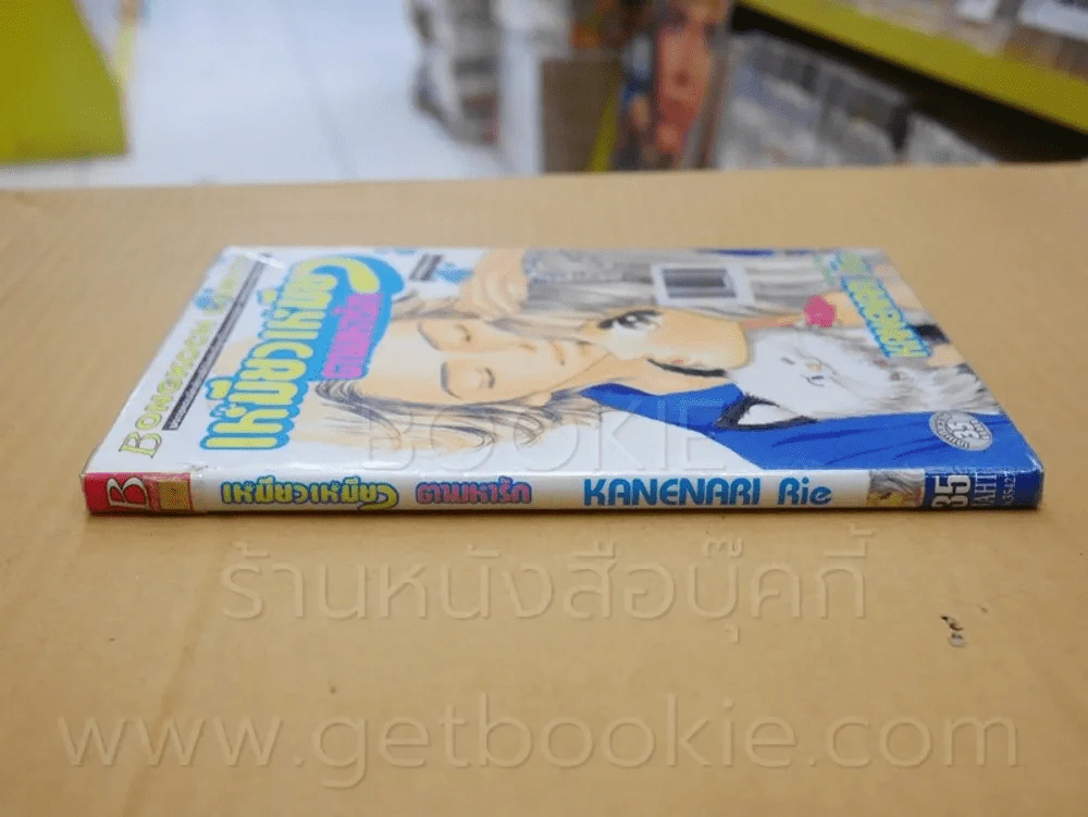 เหมียวเหมียวตามหารัก รูปที่ 2