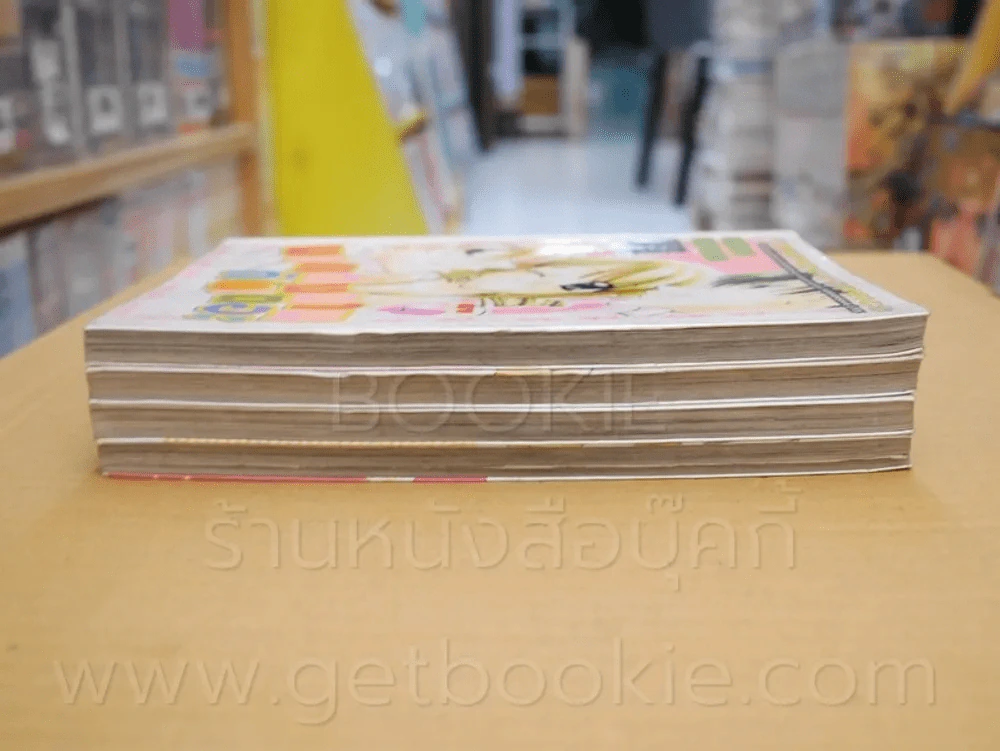 มาแต่งงานกันเถอะ 4 เล่มจบ รูปที่ 3