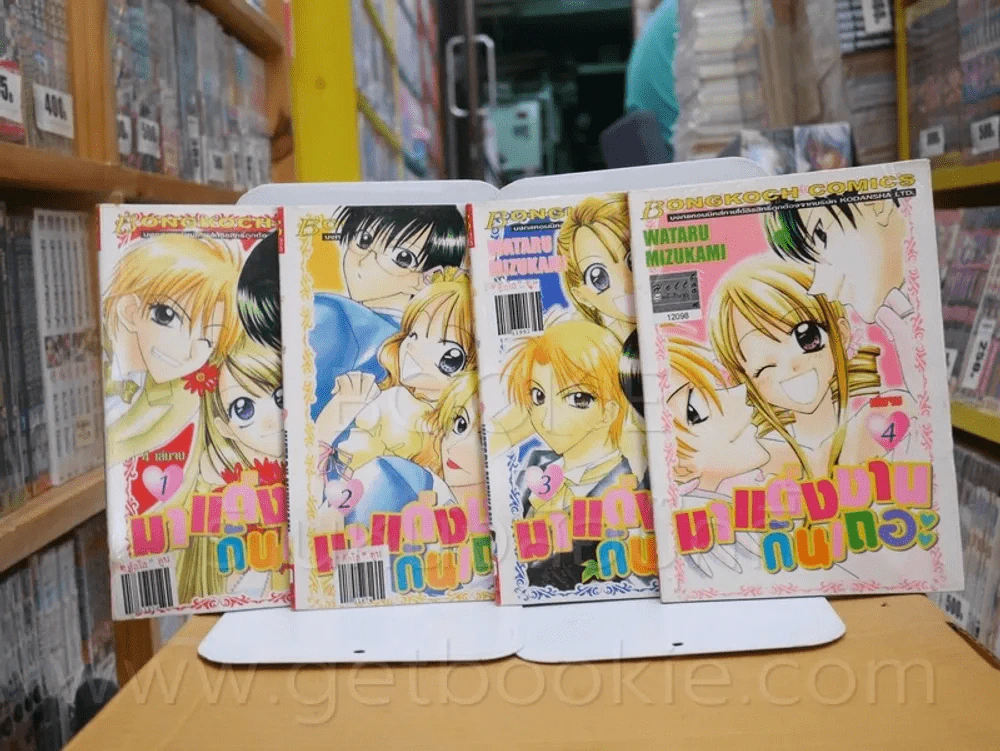 มาแต่งงานกันเถอะ 4 เล่มจบ รูปที่ 1