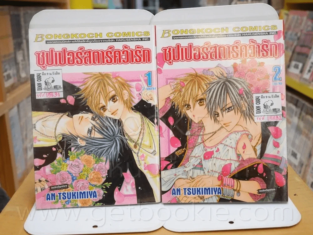 ซุปเปอร์สตาร์คคว้ารัก 2 เล่มจบ รูปที่ 1