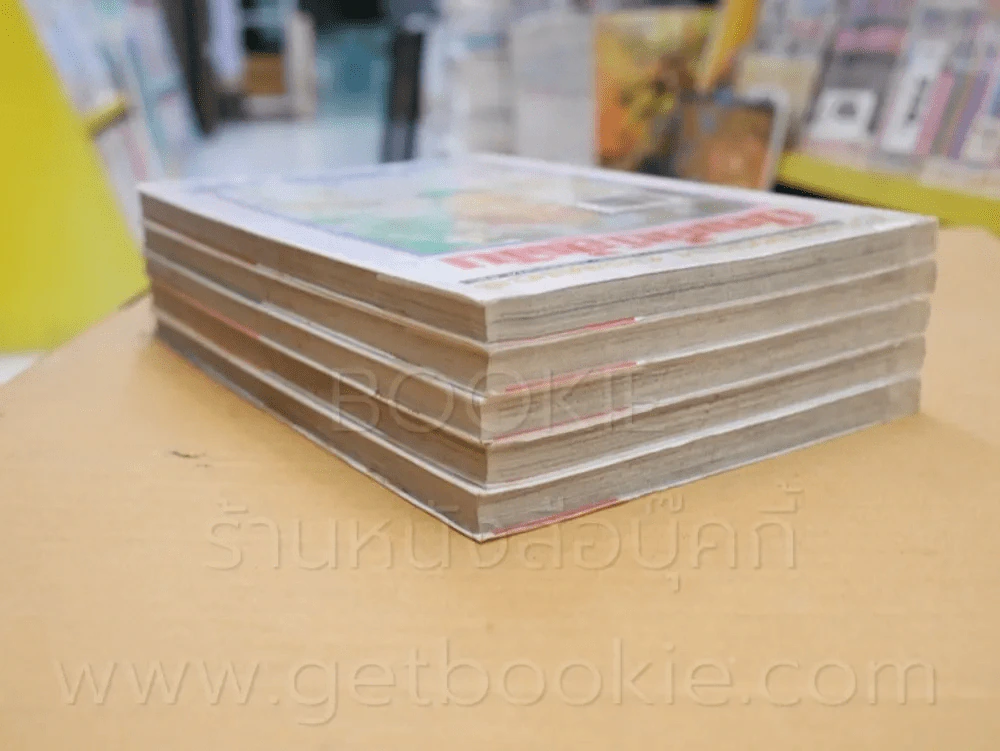 บัลเล่ต์สู่ฝัน 5 เล่มจบ รูปที่ 5