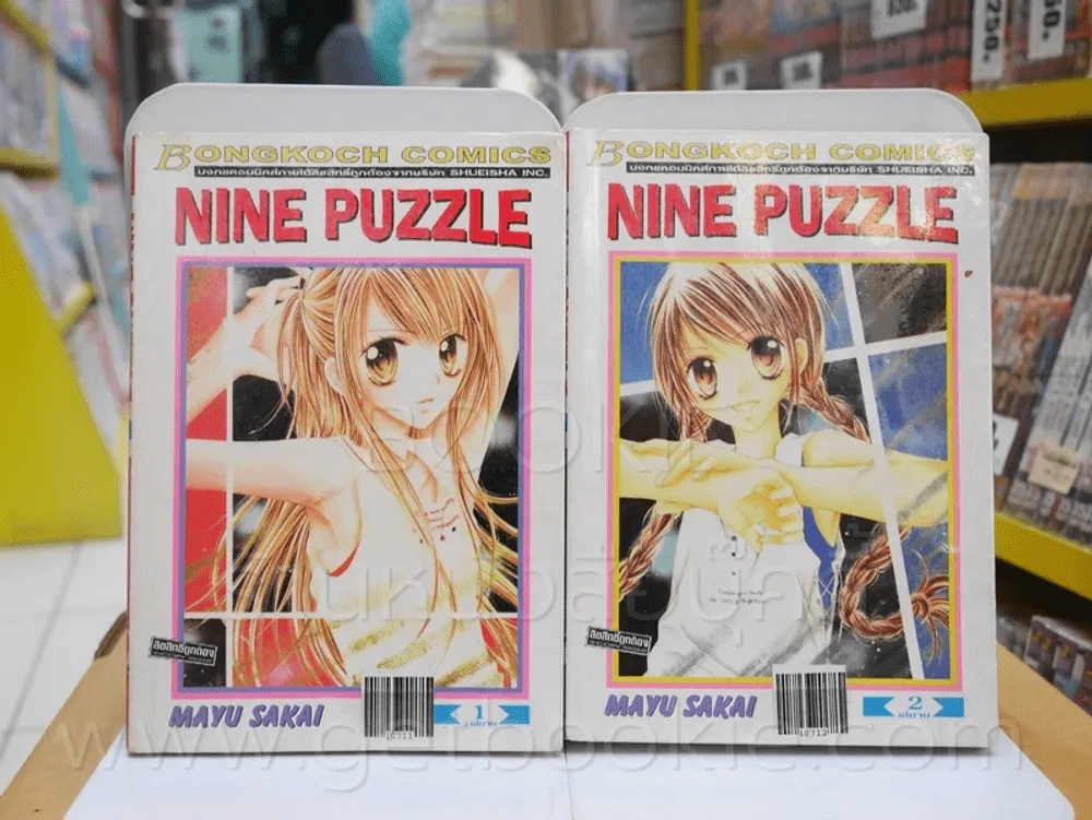 Nine Puzzle 2 เล่มจบ รูปที่ 1