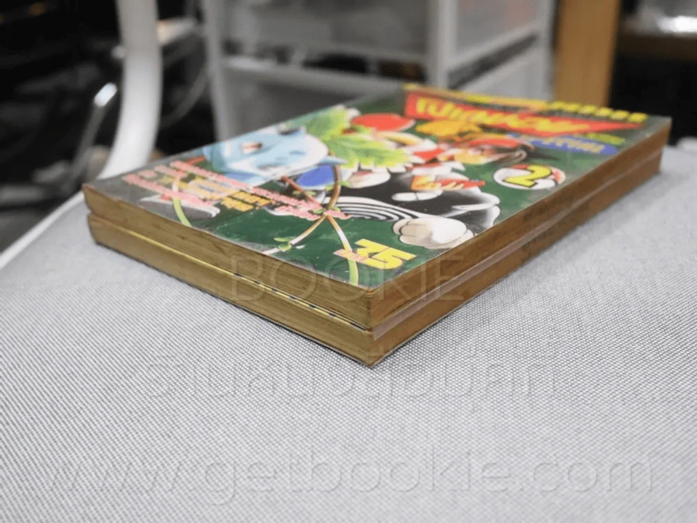 พ็อกเก็ตมอนสเตอร์ โปเกมอน Special เล่ม 1-2 รูปที่ 4