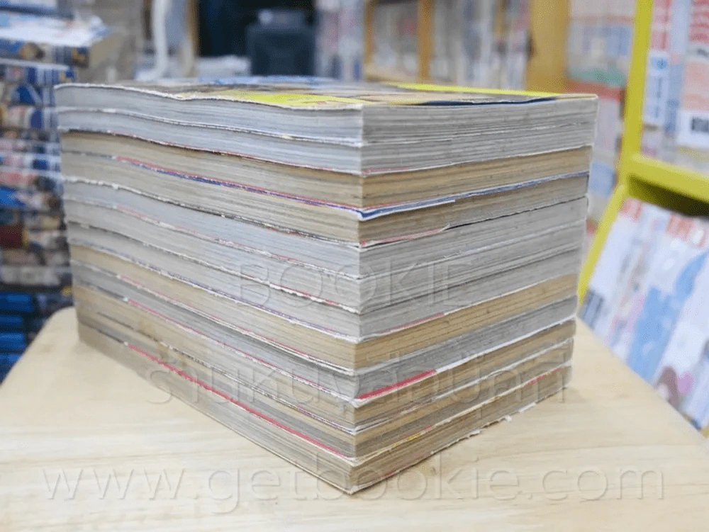 ดาบฟ้าล่าสังหาร 12 เล่มจบ รูปที่ 5