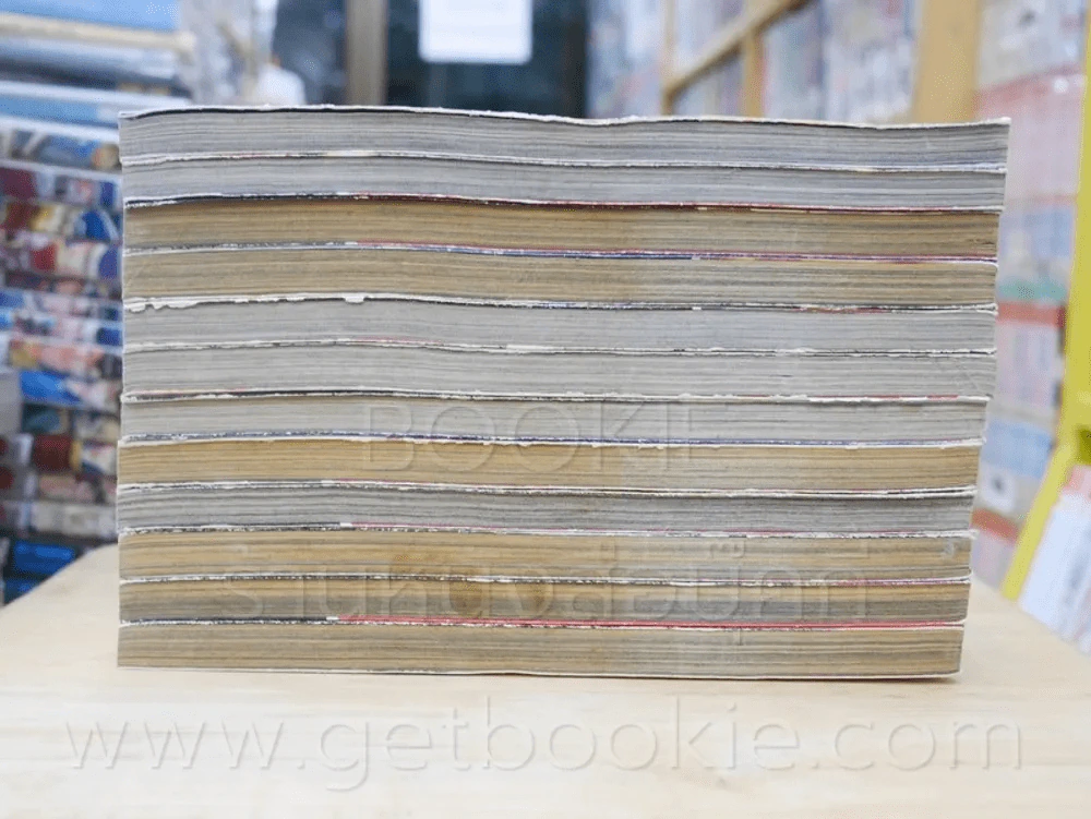 ดาบฟ้าล่าสังหาร 12 เล่มจบ รูปที่ 3