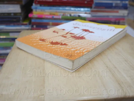 จ้าวทะเลทราย - ออโรร่าห์ รูปที่ 4