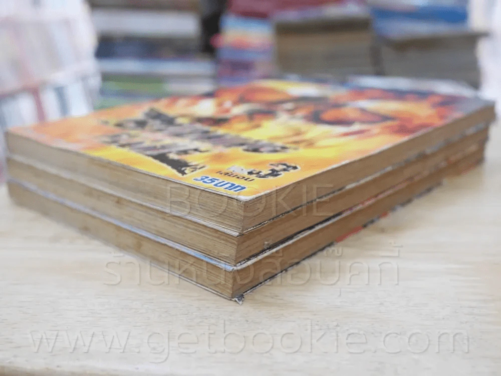 Burning Flame เพลิงนรกไฟชีวิต 3 เล่มจบ รูปที่ 4