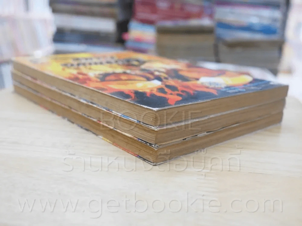 Burning Flame เพลิงนรกไฟชีวิต 3 เล่มจบ รูปที่ 5
