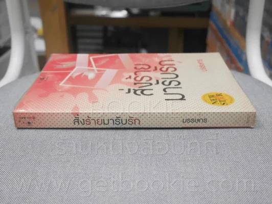 สั่งร้ายมารับรัก - มรรษกร รูปที่ 2