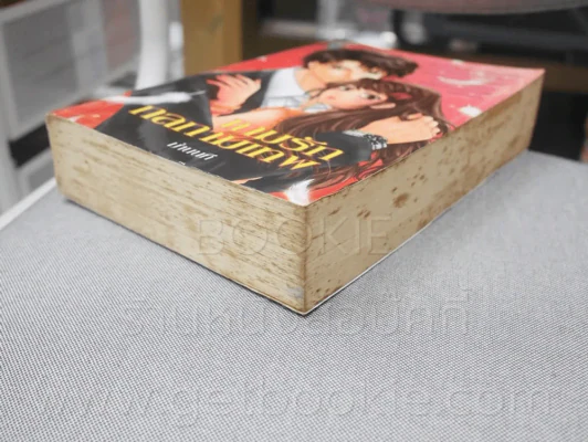 เกมรักกลกามเทพ - ม่านนที รูปที่ 4